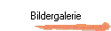 Bildergalerie