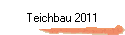 Teichbau 2011